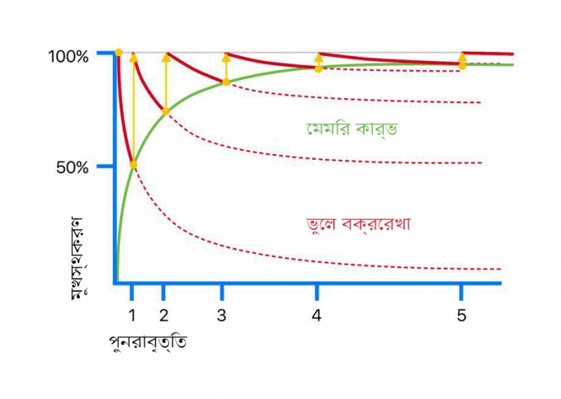 মুখস্থকরণের উপর পুনরাবৃত্তির প্রভাব দেখানো একটি বক্ররেখা