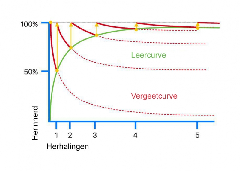 Optimale spacing intervals voor Frans vocabulaire retentie